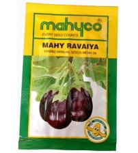 Brinjal Ravaiya MEBH 39